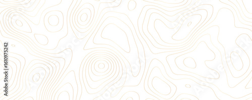 Gold Topographic Contour Lines on White Background