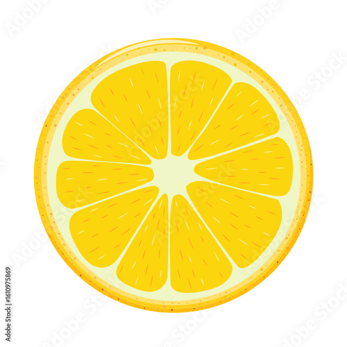 Round slices of yellow lemon in a cut on a white background. Vector graphic design elements.