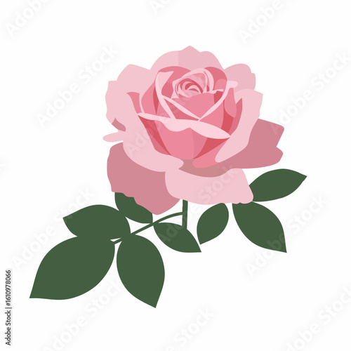 Vector Illustration of a Delicate Pink Rose with Green Leaves