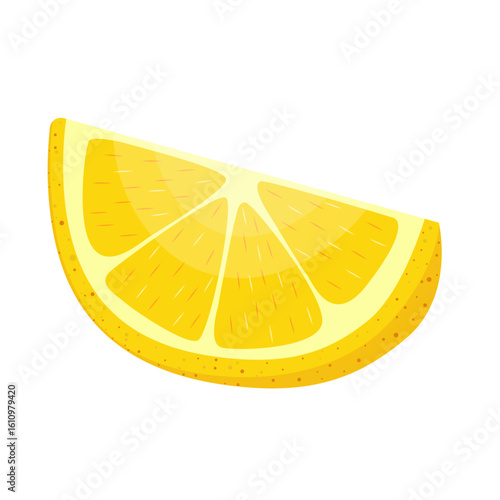 Yellow lemon with slices on white background. Vector graphic design elements. Hand drawn.