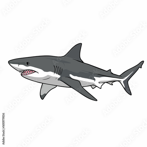 Detailed Cartoon Illustration of a Great White Shark in Profile
