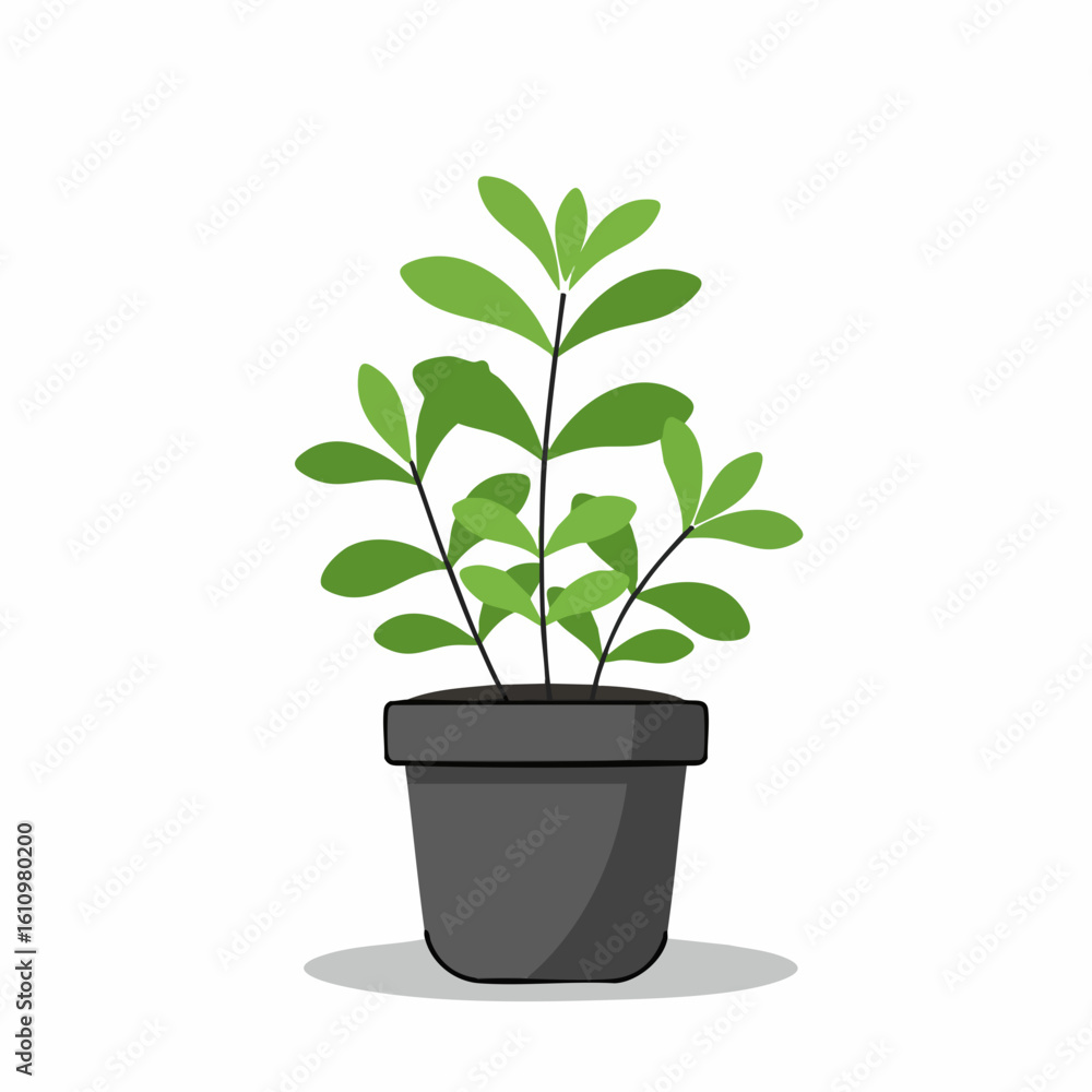 Fototapeta premium Vibrant Green Plant in a Dark Gray Pot
