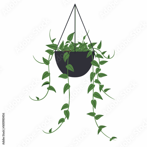 Hanging Planter with Lush, Draped Vines