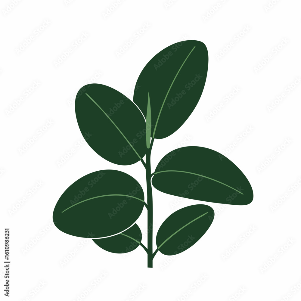 Simple Illustration of a Lush Green Plant with Oval Leaves and Stem Simple Illustration of a Lush Green Plant with Oval Leaves and Stem