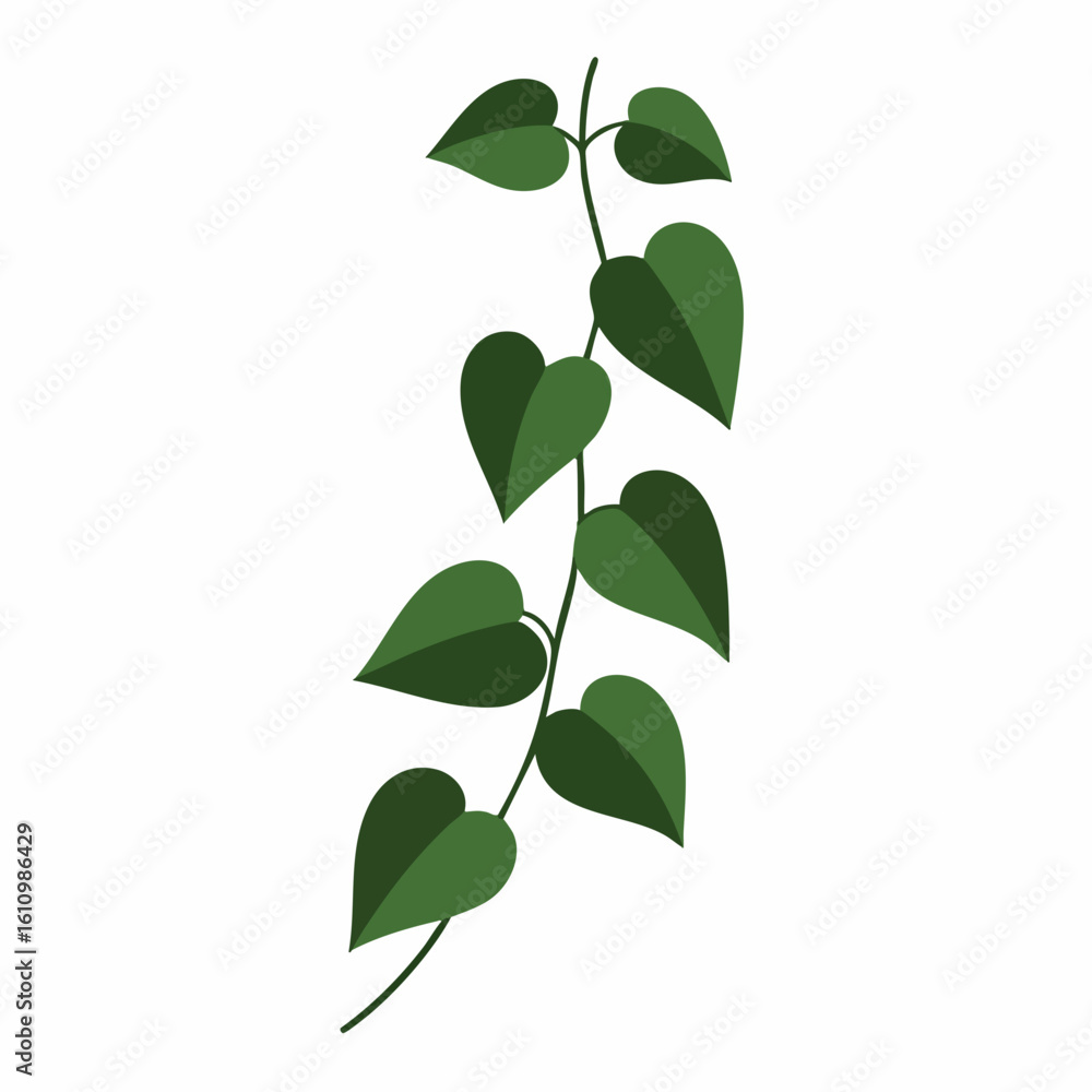 Simple Green Vine with Heart-Shaped Leaves, Vector Illustration Simple Green Vine with Heart-Shaped Leaves, Vector Illustration