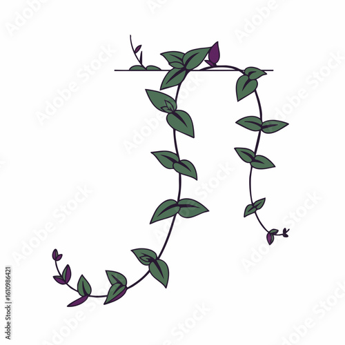 Elegant Green Vine with Purple Buds, J-Shaped Design