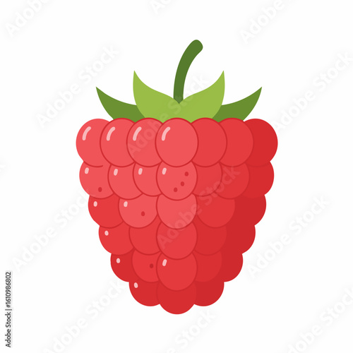 Vibrant Cartoon Raspberry with Green Leaves and Stem Illustration