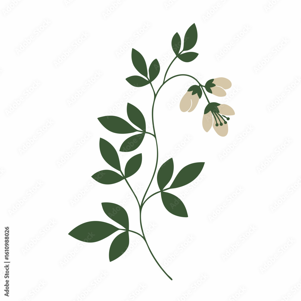Obraz premium Elegant Green Branch with Delicate Beige Blooms