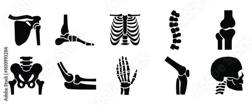 Orthopedic and spine vector icons. Human bone of illustration and anatomy skeleton bone, Medical organs line icon set. Anatomical vector pictograms of bones, body parts, in transparent background.