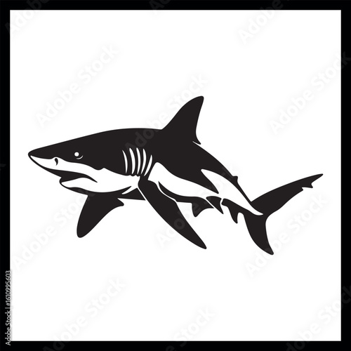 Shark vector art, predator