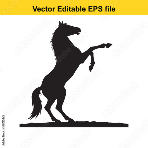 Silhouette of a horse rearing up