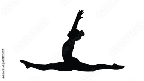 Adobe Illustrator Artwork