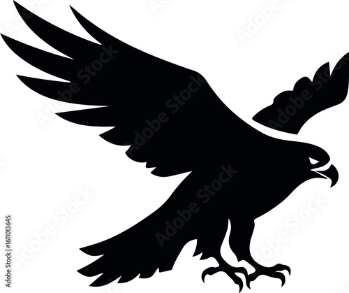 hawk bird isolated on white background predatory raptor for wildlife and nature illustration