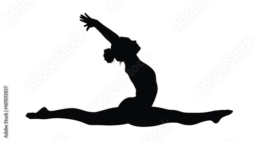 Adobe Illustrator Artwork