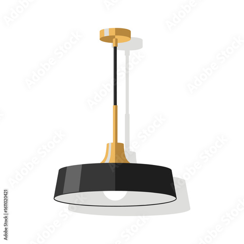 Modern Black and Gold Pendant Light Fixture