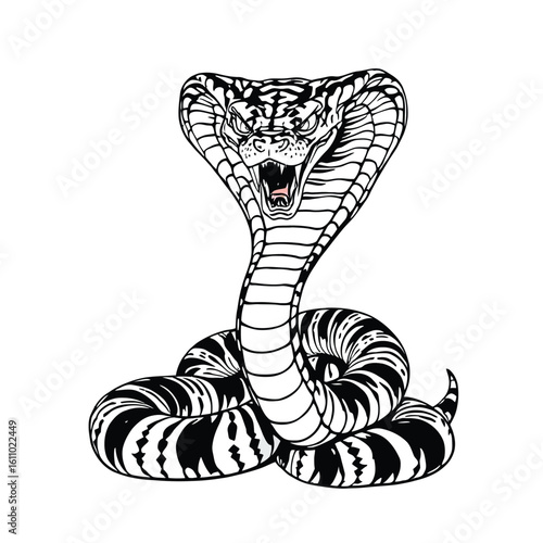 Aggressive Cobra Silhouette with Expanded Hood and Bared Fangs in Coiled Pose as Detailed Black-and-White Snake Illustration