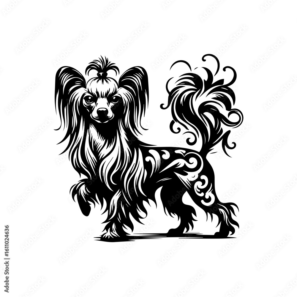 Fototapeta premium Ornate chinese crested dog illustration