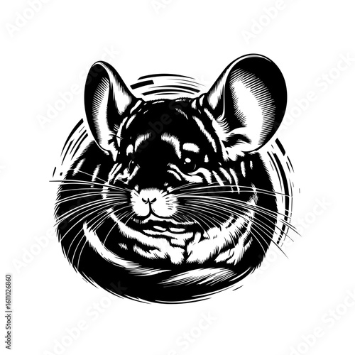 A chinchillas head with large ears and whiskers