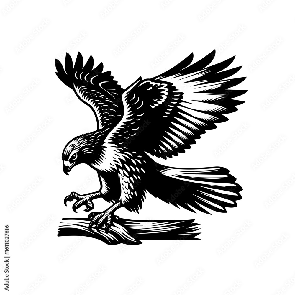 Obraz premium Eagle perched on a branch, ready to fly