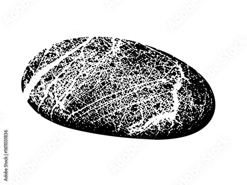 Vector Textured pebble with a rough speckled surface.