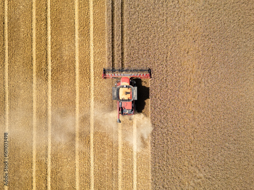 Top Down Aerial View of Harvester Working in Golden Wheat Field During Harvest Season