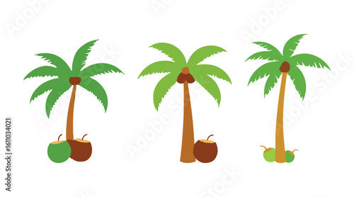 Realistic Coconut Palm Tree Vector with Detailed Leaves on white background.