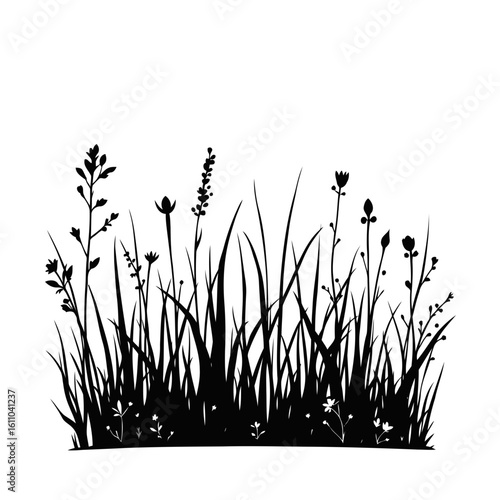 Abstract black grass and flower silhouettes against a white background evoke the serene beauty of a summer meadow