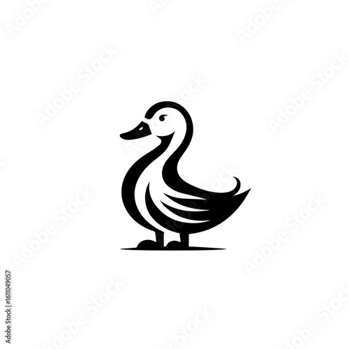 Duck isolated on white background
