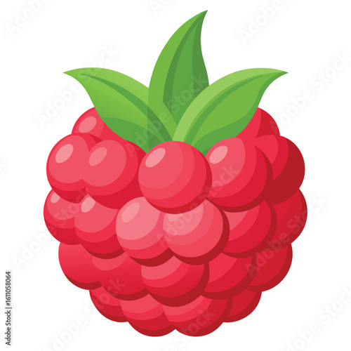 Organic Raspberry – Natural and Healthy Fruit