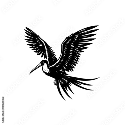 A frigatebird flying isolated on white background