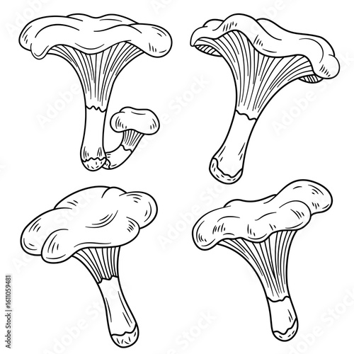 Chanterelles mushrooms fungi icons set vector. Nature fresh, plant autumn, organic vegetable mushroom food fungi black contour illustrations