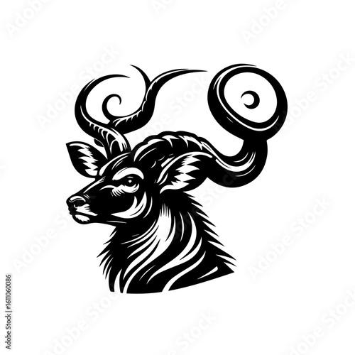 Kudu antelope isolated on white background