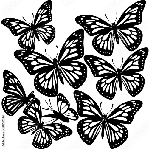 a cut Monarch butterfly silhouettes collections silhuette vector art illustration on white background