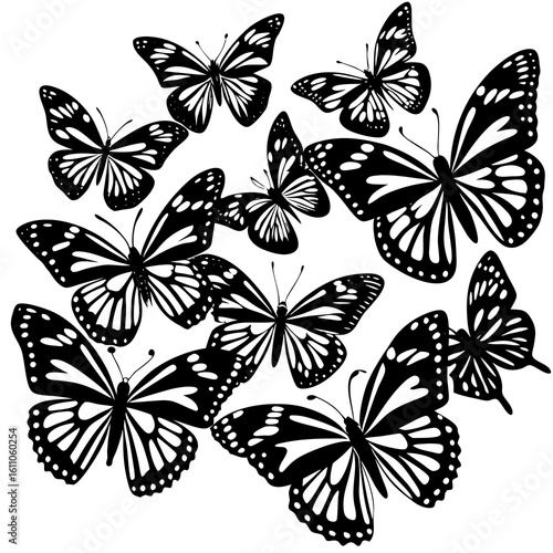a cut Monarch butterfly silhouettes collections silhuette vector art illustration on white background