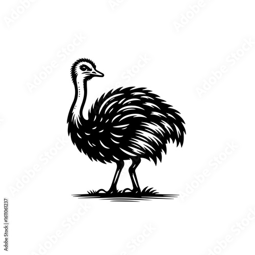 Young ostrich standing on grass