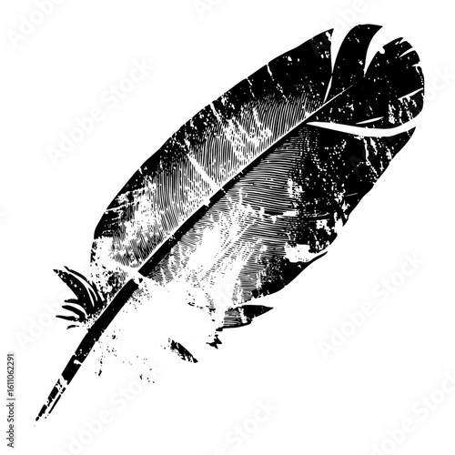 Vector Detailed black feather with textured strokes.