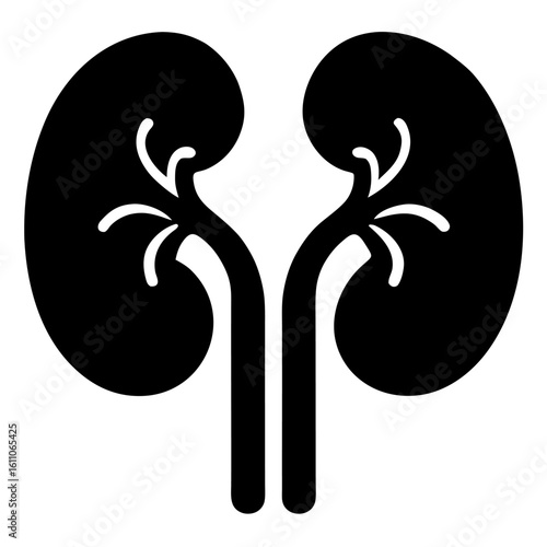 vector illustration of a silhouette of amen kidneys