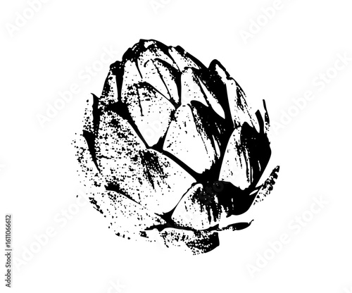 Vector Detailed black and white of an artichoke.