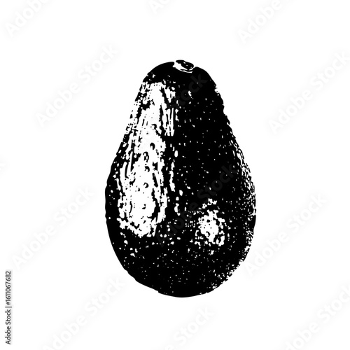 Vector Detailed of a textured avocado fruit.