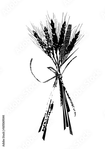 Vector Black wheat sheaf tied with ribbon
