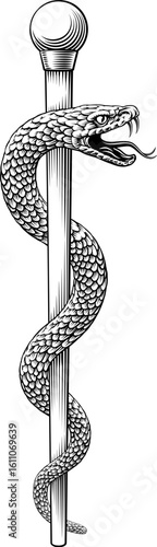 Rod of Asclepius staff medical symbol. Intertwined snake around a rod or wooden staff. Often mistakenly called a Caduceus. Doctor icon for medicine and health care. Vintage woodcut etching style.