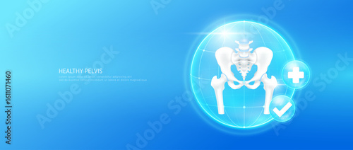 Healthy pelvis bone within bubble dome transparent with check mark and plus sign on blue background. Strong cartilage joint anatomy. Medical health care concept. 3D Vector EPS10.