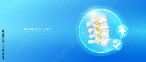 Healthy spinal nerve within bubble dome transparent with check mark and plus sign on blue background. Strong vertebra cartilage joint anatomy. Medical health care concept. 3D Vector EPS10.