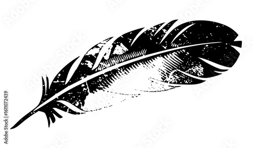 Vector Detailed black feather showcases intricate quill and barb structure.