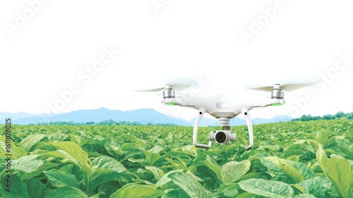 Drone Aerial View Over Vibrant Green Fields and Rural Landscape