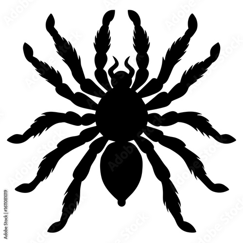 Tarantula Spider Silhouette Illustration for Halloween and Horror Designs silhouette
