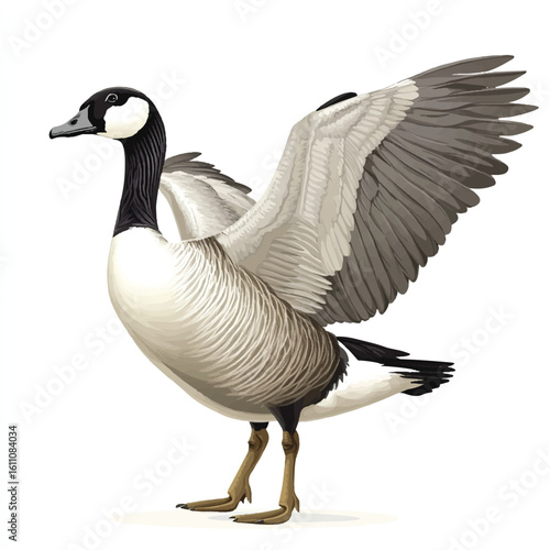 a goose with flapping wings