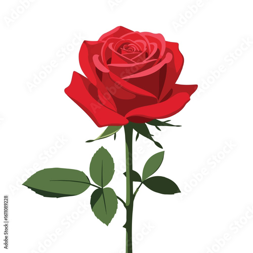 Vibrant red rose with green leaves, isolated on white background.