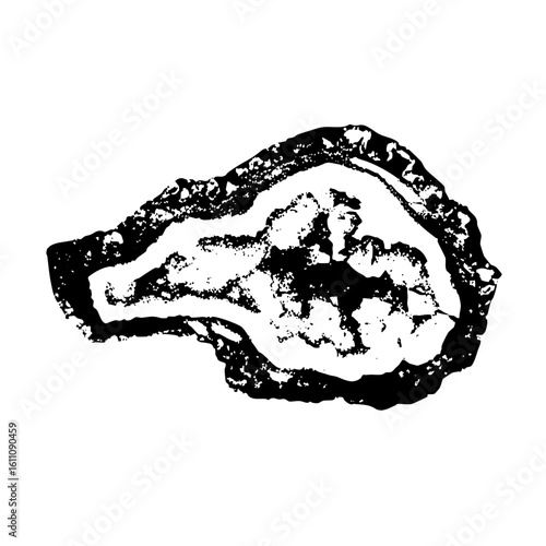 Vector Detailed of a single oyster with textured interior.