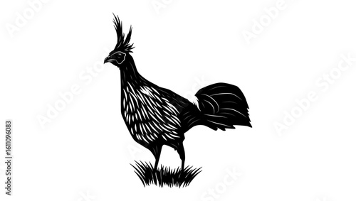 Kalij Pheasant bird, black isolated silhouette